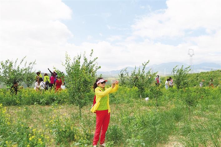 新闻中心 图片新闻   7月28日,悠扬的花儿响彻海原县史店乡田拐村,以"