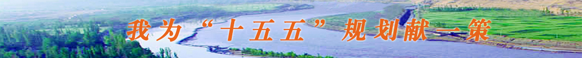 我为“十五五”规划献一策