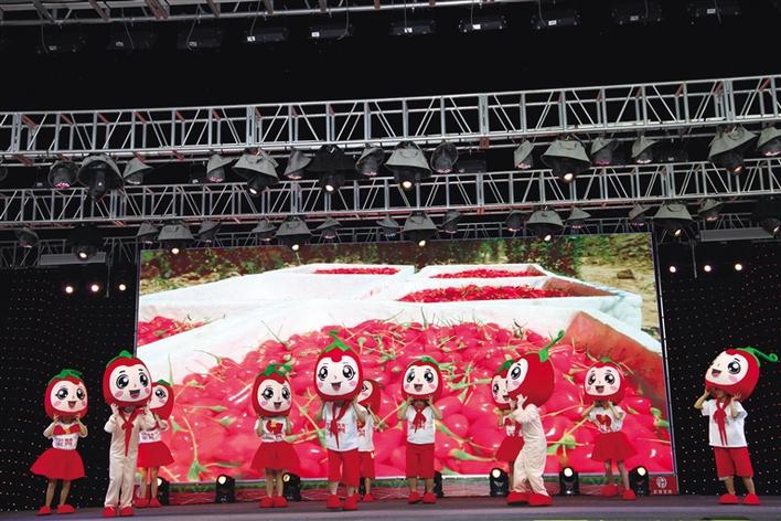 中宁县举办枸杞产业博览会专场文艺演出