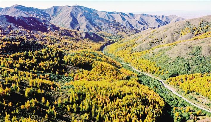 中卫秋意浓：满城斑斓入画来