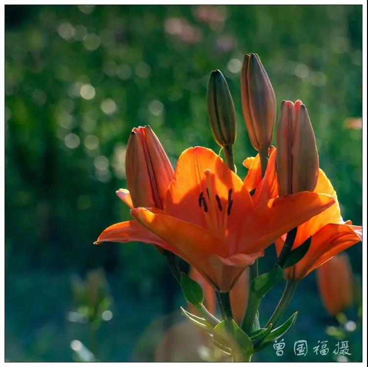 微信图片_20190621145020.jpg