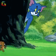 微信图片_20190712084305.gif